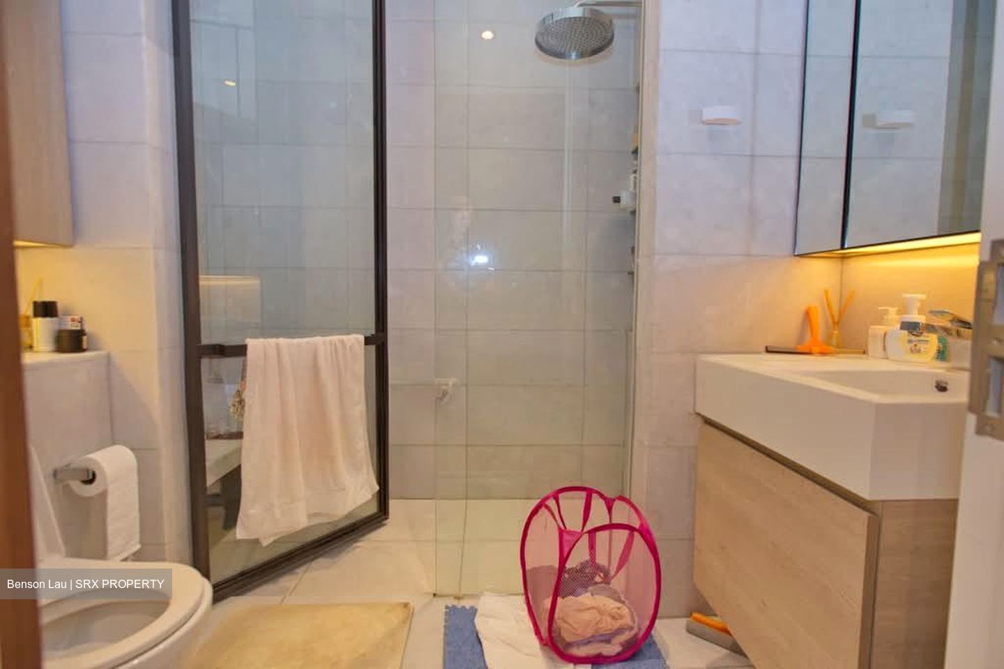 Cluny Park Residence (D10), Condominium #563214141